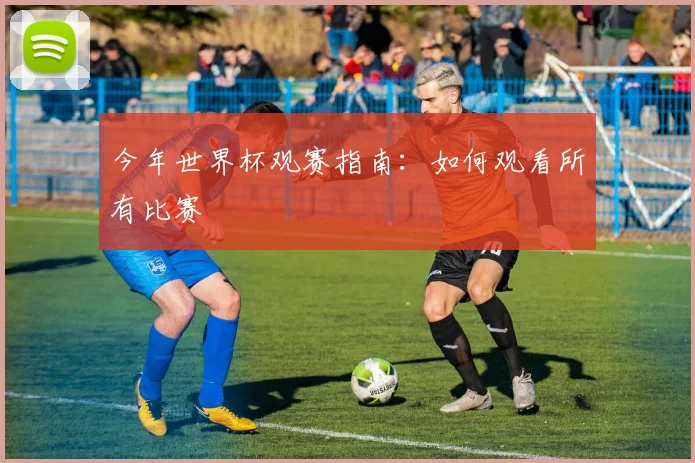 今年世界杯观赛指南:如何观看所有比赛